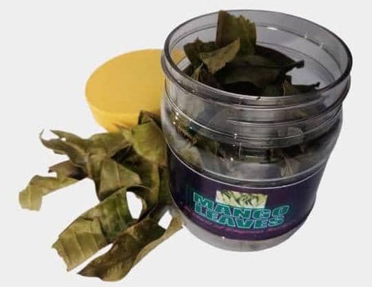 Mango Dried Leaves - Image 2
